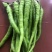 尖椒，菜椒，麻椒，线椒，各种精品蔬菜辣椒豆角，一级辣椒，
