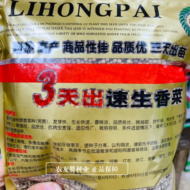 耐热耐抽苔香菜种子3天出速生香菜种子意大利进口香菜种籽