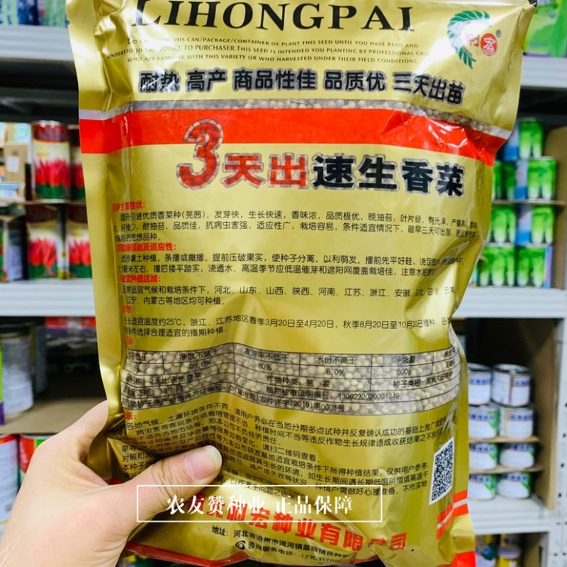 耐热耐抽苔香菜种子3天出速生香菜种子意大利进口香菜种籽