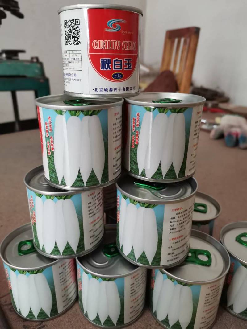 白玉萝卜种子北京硕源纯白皮白肉萝卜种子基地专用高品质