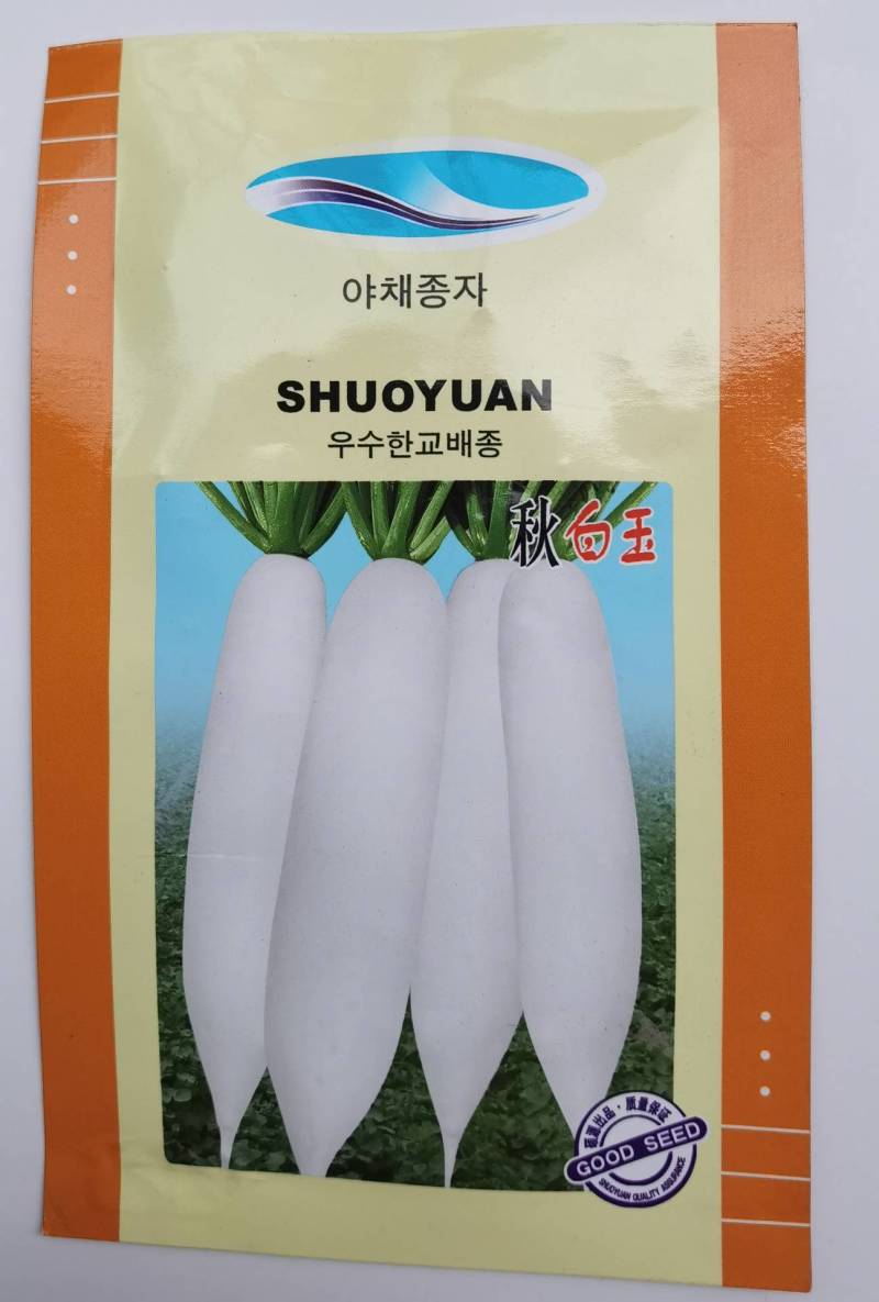 白玉萝卜种子北京硕源纯白皮白肉萝卜种子基地专用高品质