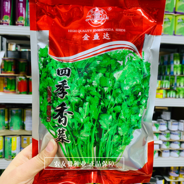 早熟进口香菜种子耐热耐抽薹能力强亮绿有光泽四季香菜种籽