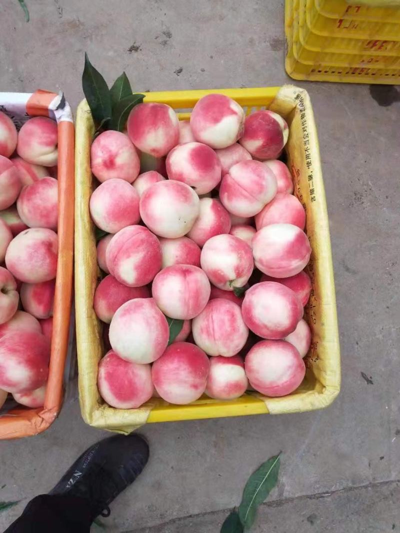 蜜桃