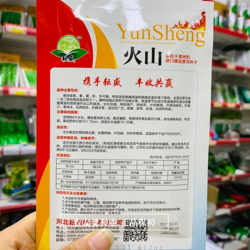 澳洲进口精品香菜种子火山香菜种籽45度短期高温不抽薹