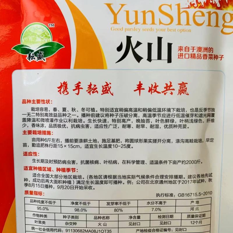火山香菜种子澳洲进口精品香菜种子芫荽种子抗热又耐寒四季菜