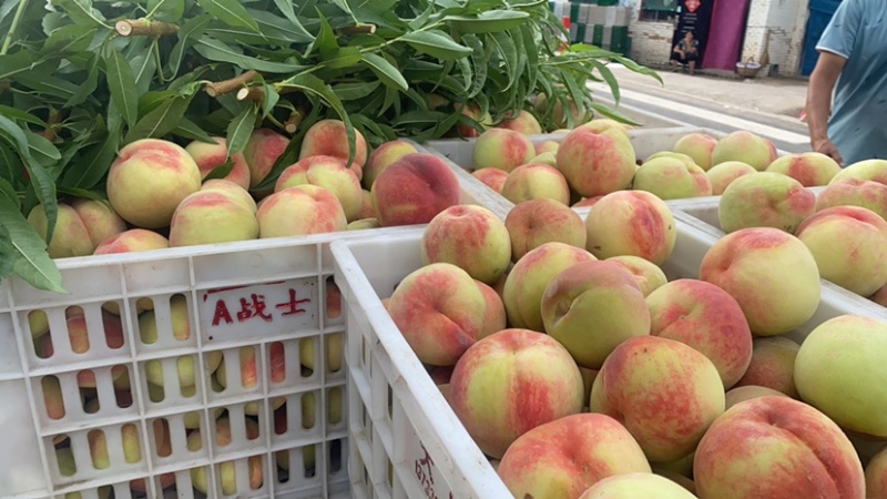 大久保