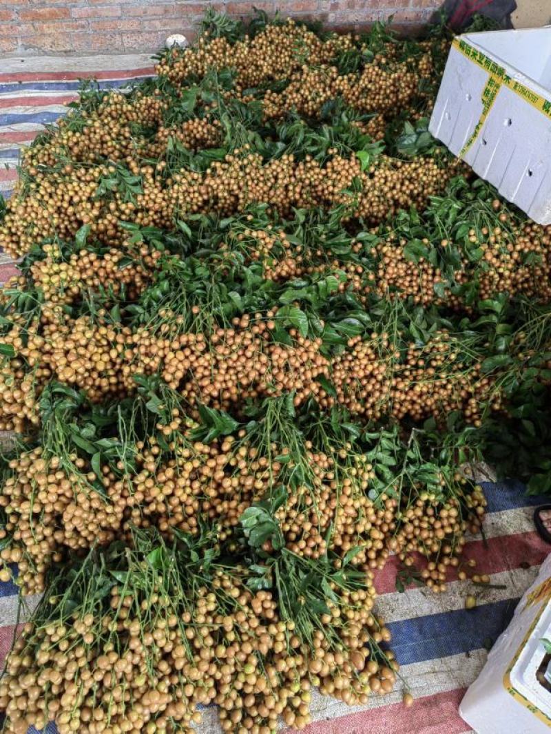 黄皮果，鸡心，冰糖，黑金刚