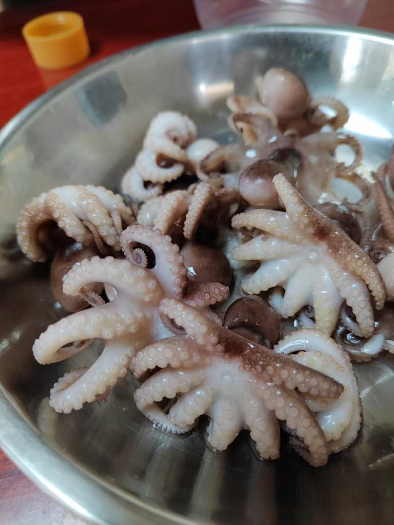 盐柔八爪鱼，脆口不缩水，餐厅大排档，电商都合适用