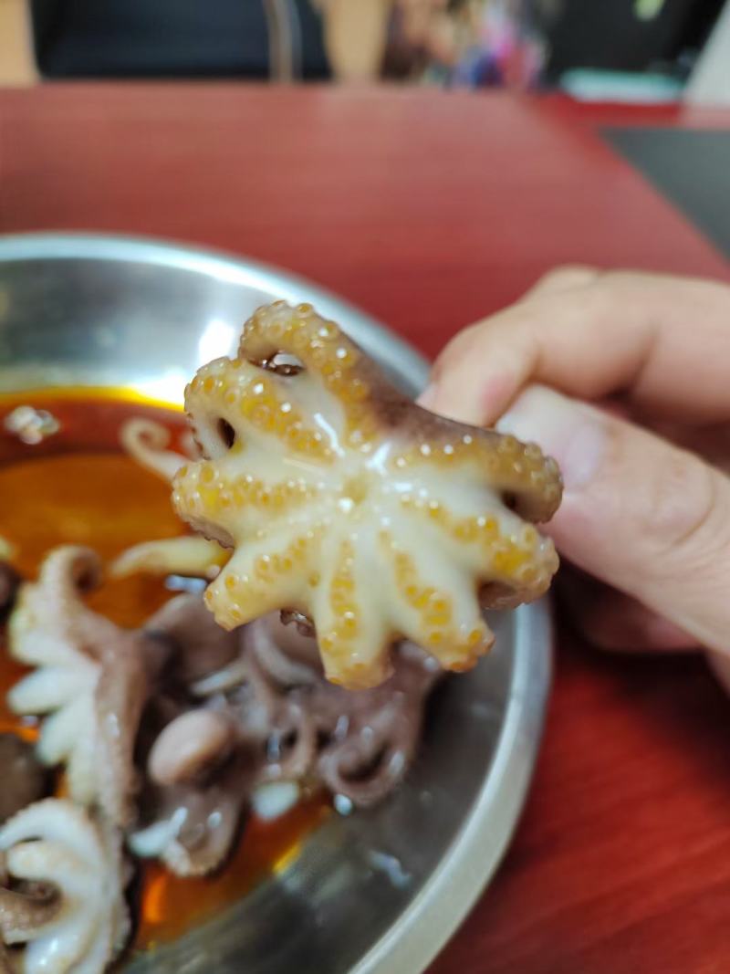 盐柔八爪鱼，脆口不缩水，餐厅大排档，电商都合适用