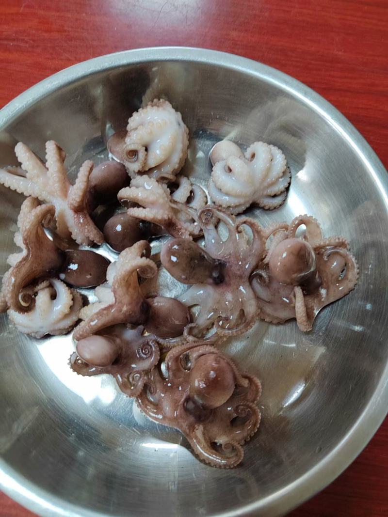 盐柔八爪鱼，脆口不缩水，餐厅大排档，电商都合适用