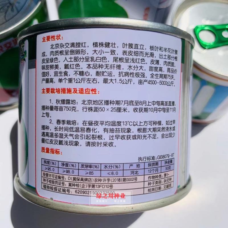 北京杂交满堂红萝卜种子心红脆甜心里美萝卜种子满膛红萝卜种