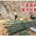 护坡生态袋边坡防护绿化河道公路山坡挡土草籽土工布袋子植生