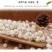 新货正宗苏州白芡实干货500克去皮白芡实纯干无硫白芡实