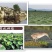 新货正宗苏州白芡实干货500克去皮白芡实纯干无硫白芡实