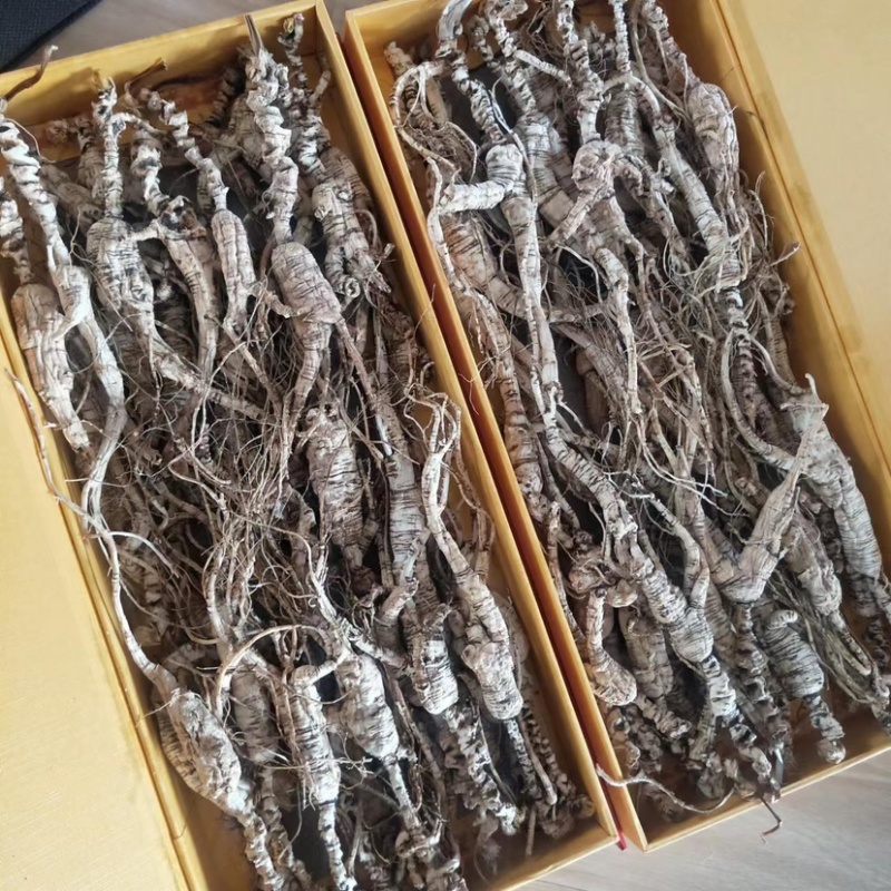 野山参40年生野山参老残枝干品可煲汤泡茶切片