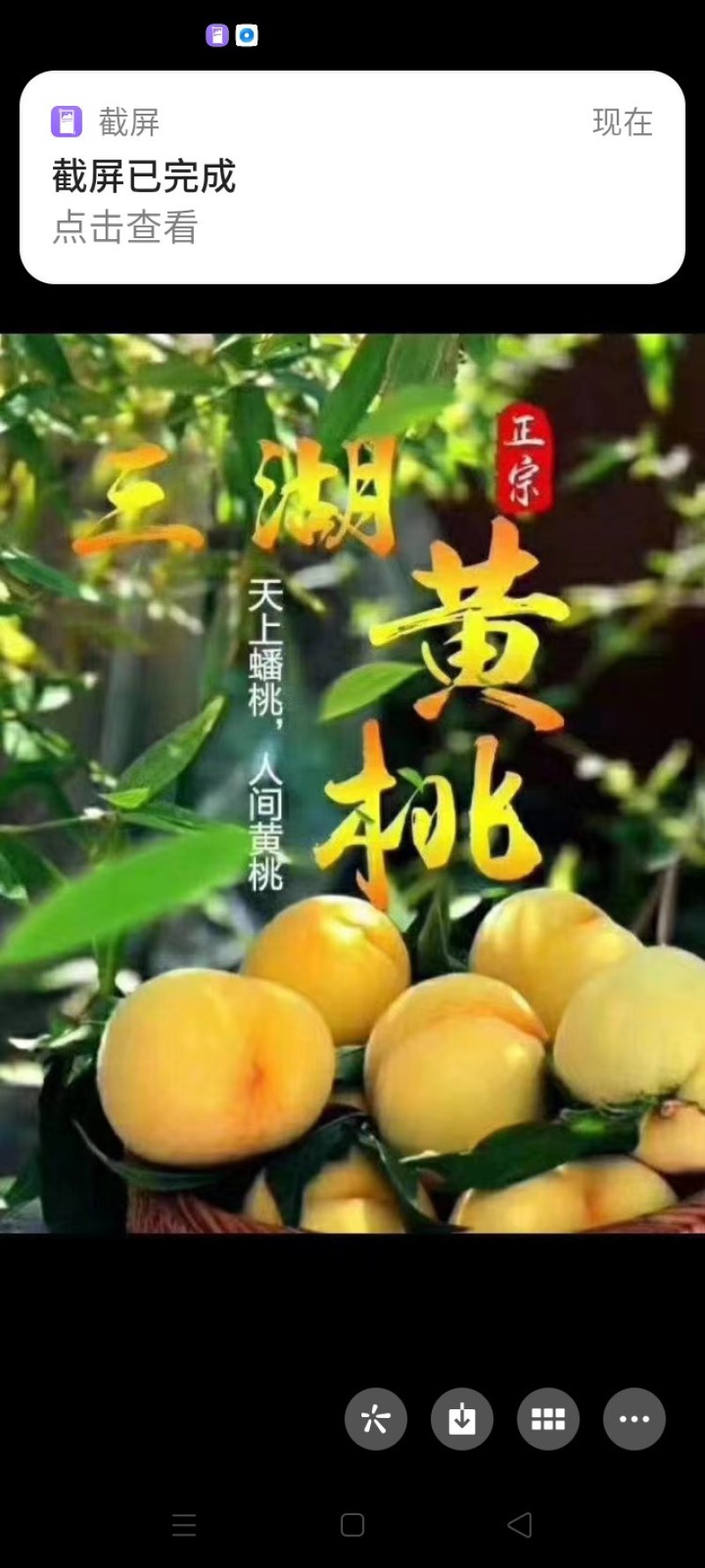黄桃