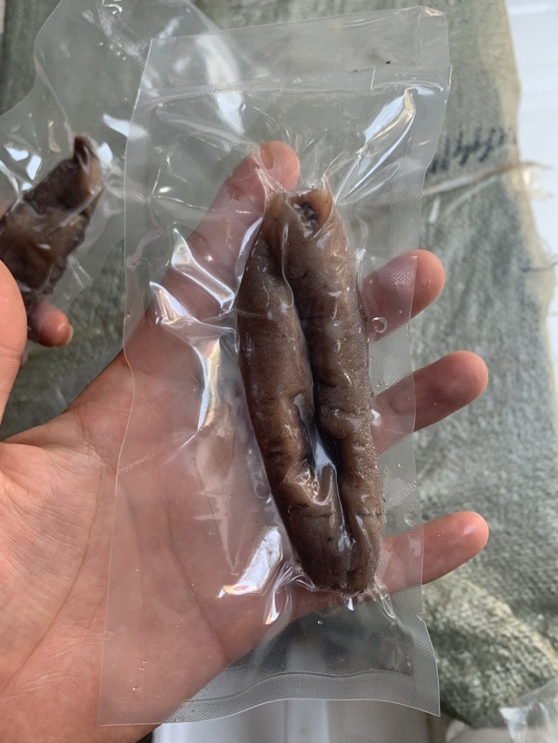 海参小乌参乌参8-13只佛跳墙配料电商团购