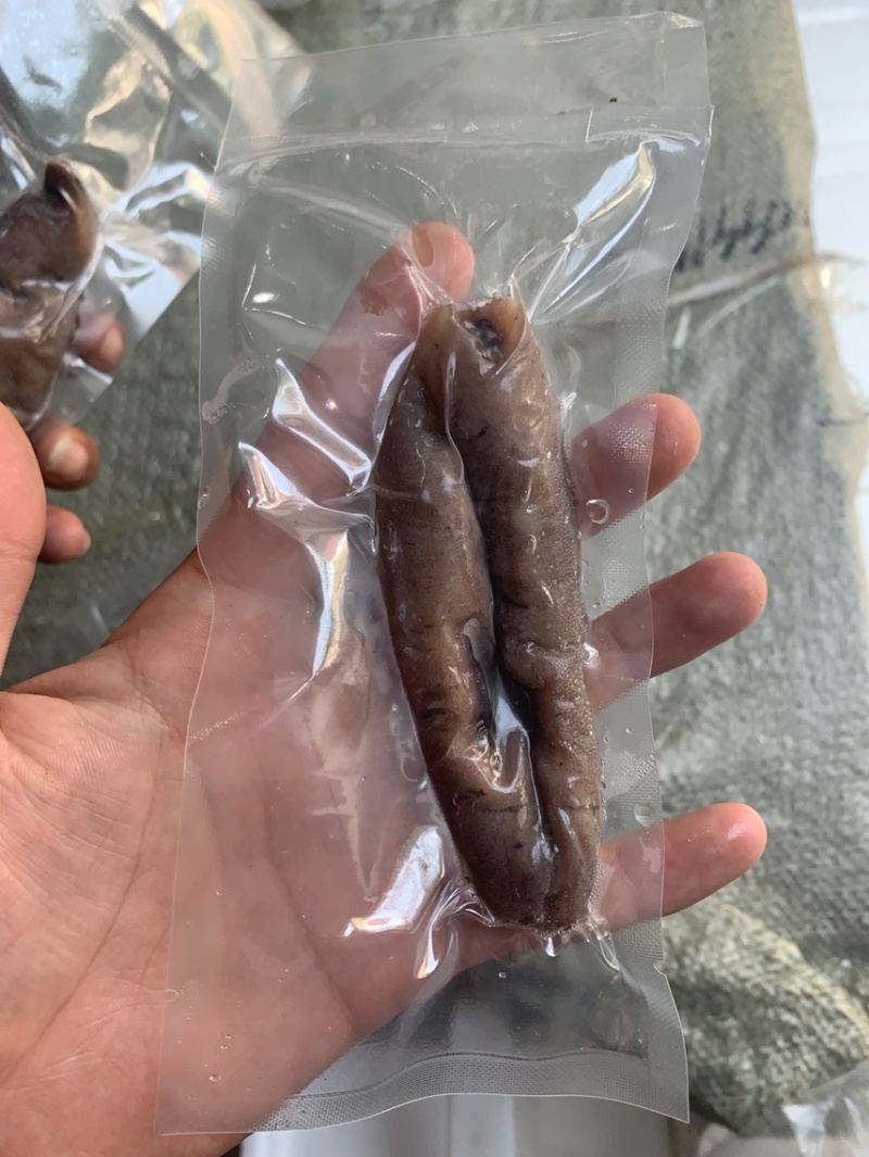 海参小乌参乌参8-13只佛跳墙配料电商团购