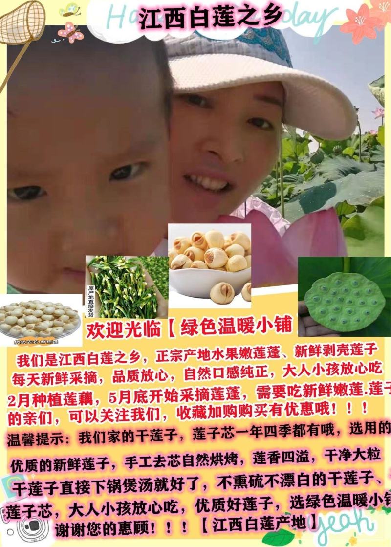 江西新鲜莲子通心莲子纯手工大粒莲子米大量批发
