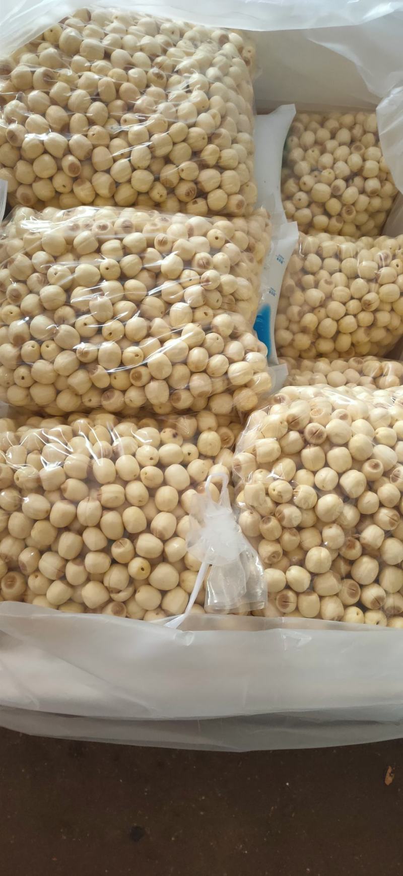 江西新鲜莲子通心莲子纯手工大粒莲子米大量批发