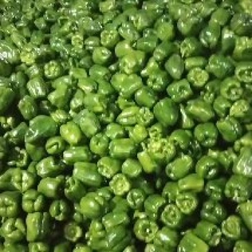 大量圆椒上市了，