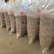 运费拍