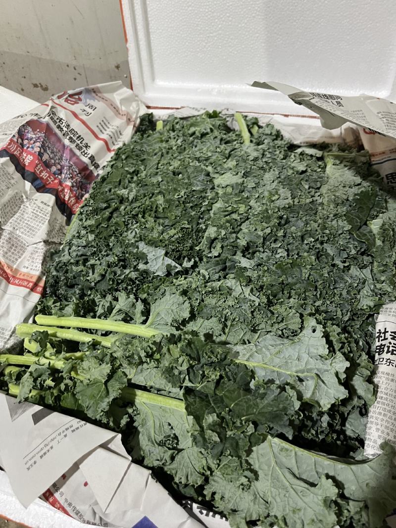羽衣甘蓝
