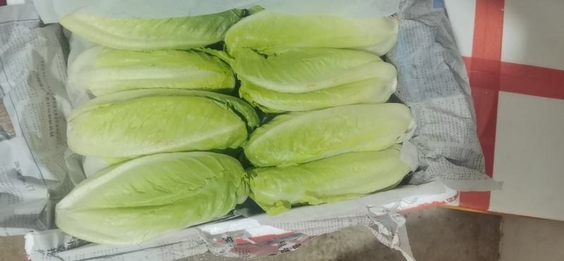 包罗