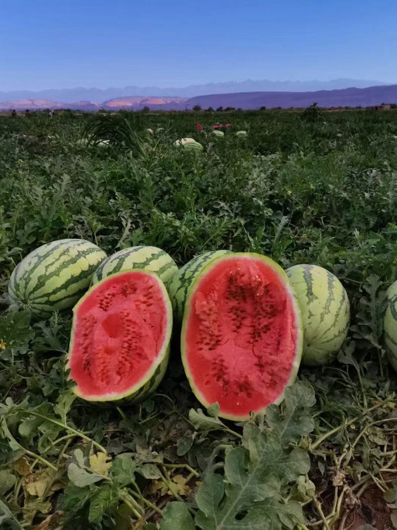 甘肃宁夏硒砂瓜，高湾硒砂瓜，石头瓜，皮薄瓤红，包熟包甜