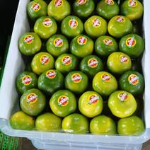 杭州果品批发市场寻找代卖各种水果，代卖费用5-10块一箱