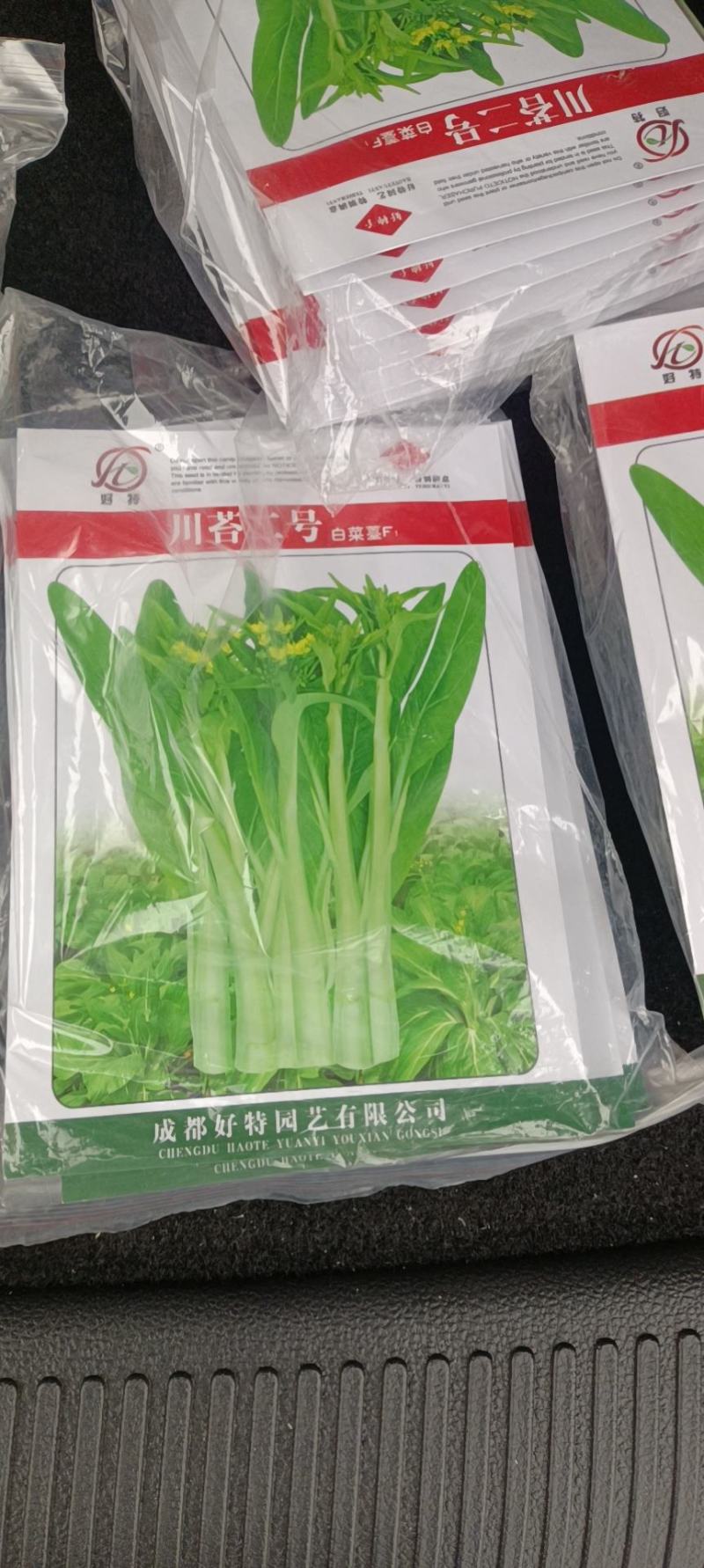 白菜苔，白菜苔种子