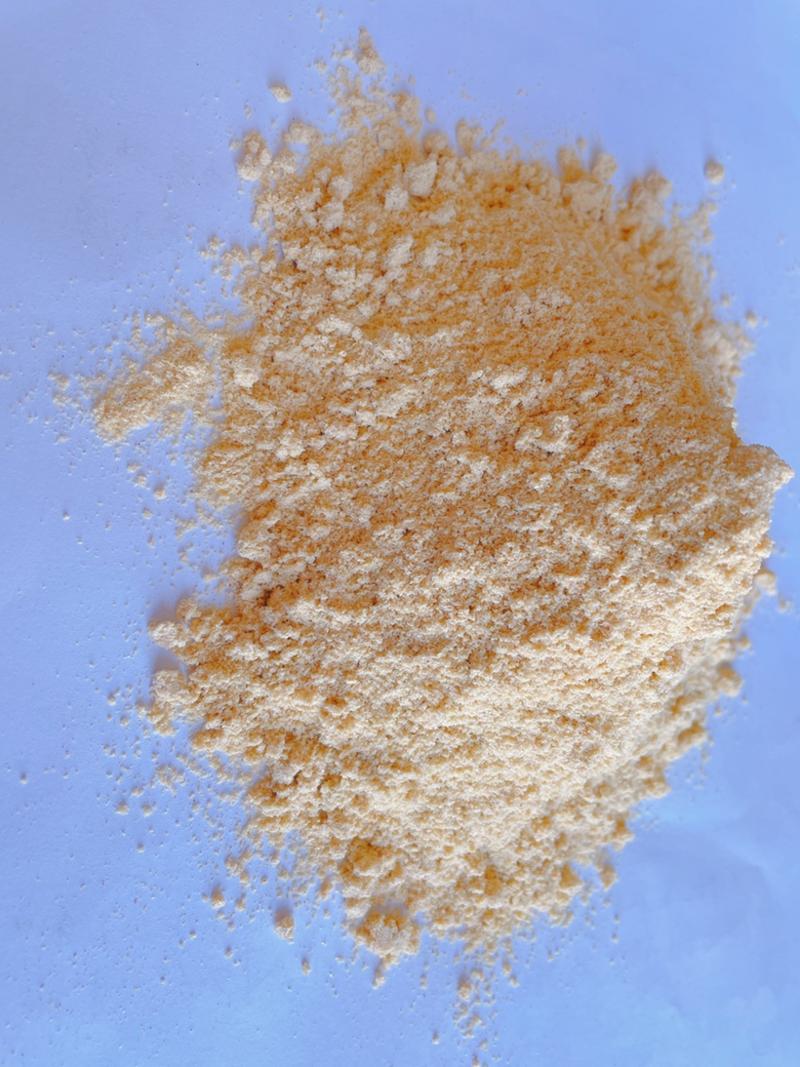 玉米面玉米次粉现货供应厂家直销质量可靠
