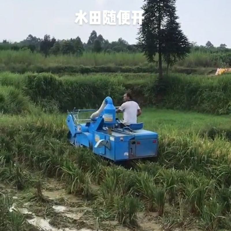 32马力稻麦联合收割机大豆收割机油菜脱粒一机多用