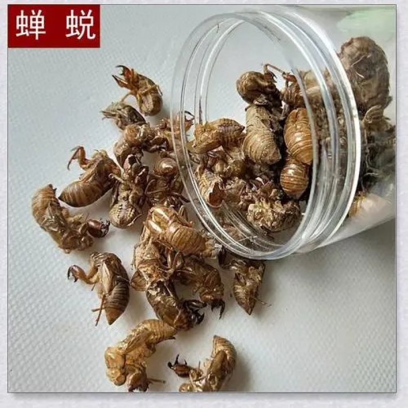 蝉蜕，干净无杂质，爬叉皮，品质保证，欢迎选购
