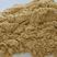 玉米次粉营养价值高不掺杂质价格便宜质量保证厂家直销