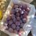 新疆伽师西梅法兰西水果产地直发批发团购包售后货源稳定包邮