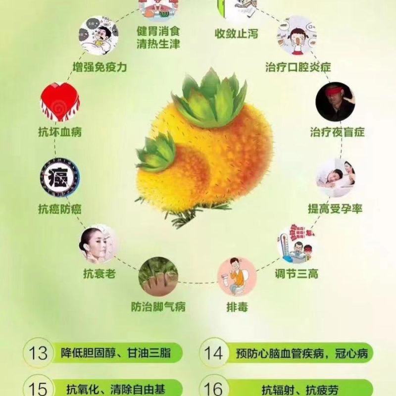 VC之王