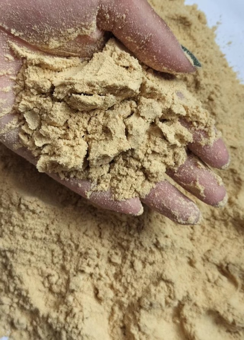 玉米次粉可利用能量高营养丰富可降低饲料成本