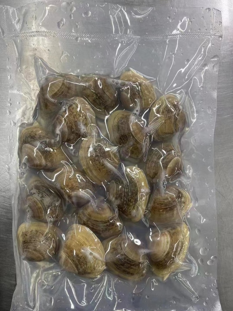 真空黄蚬子无沙