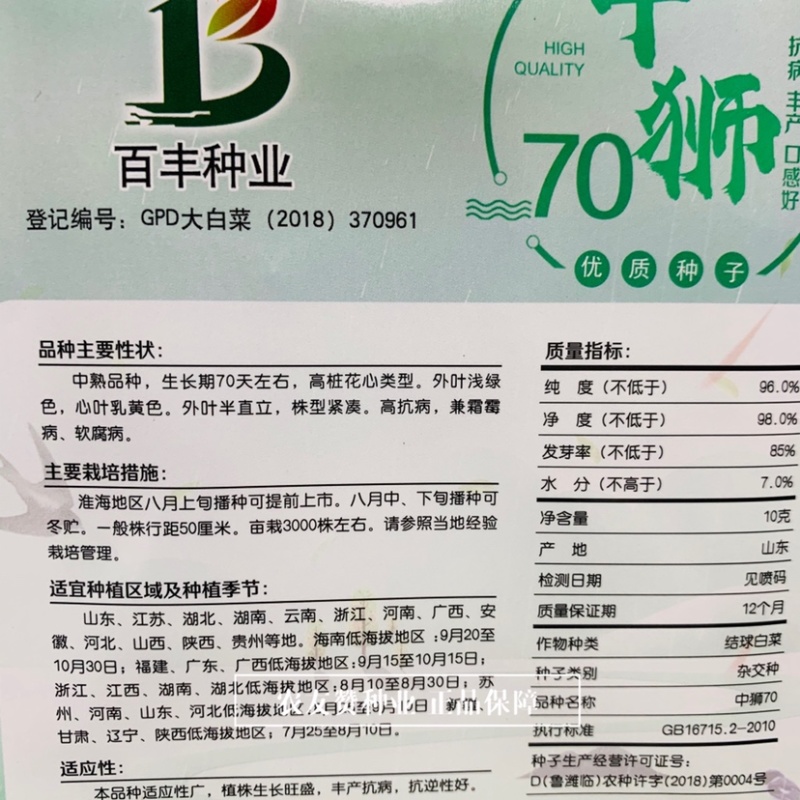 中狮70高桩花心类型白菜种子狮子头白菜心叶乳黄色
