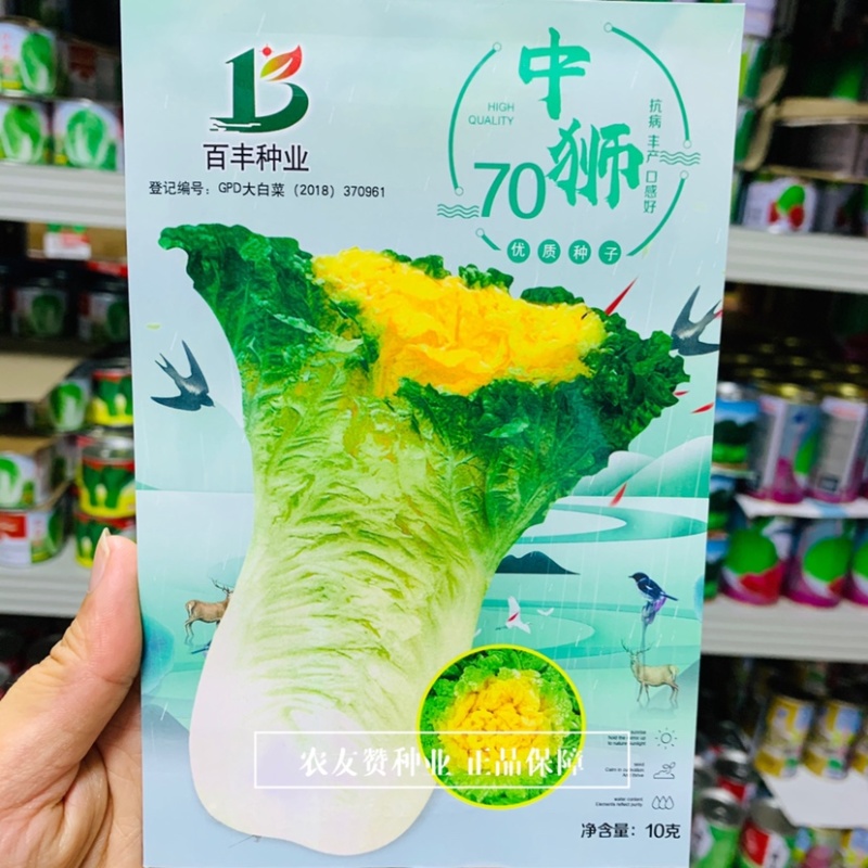 中狮70高桩花心类型白菜种子狮子头白菜心叶乳黄色