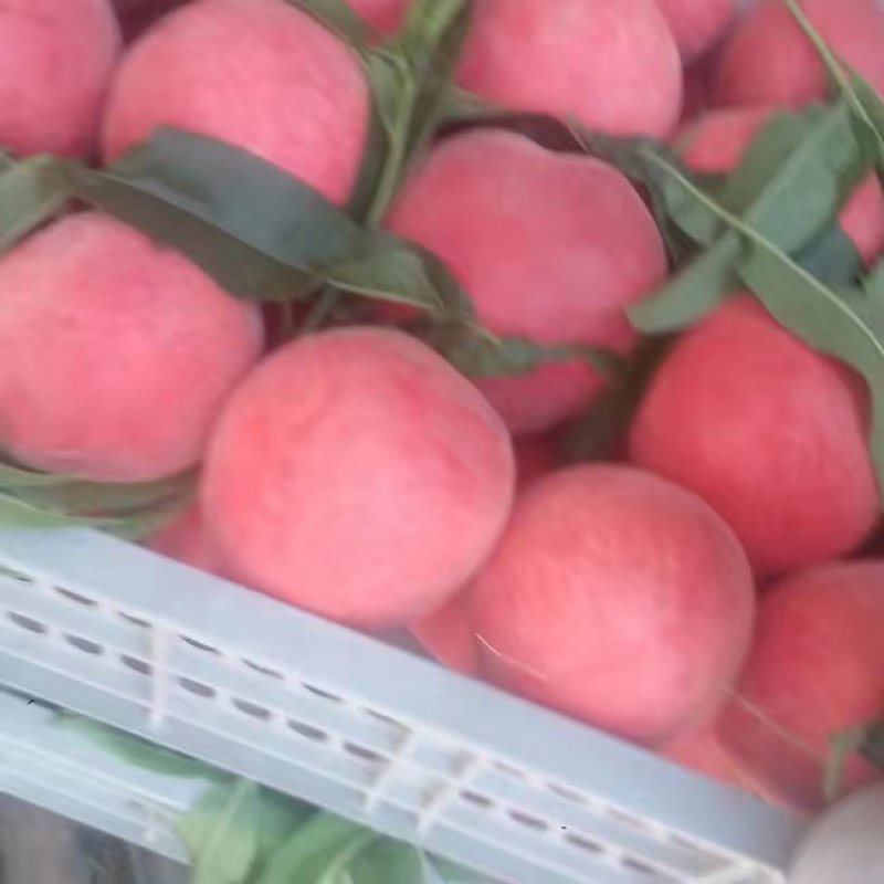 优质大久保，颜色好，口感脆甜！！！