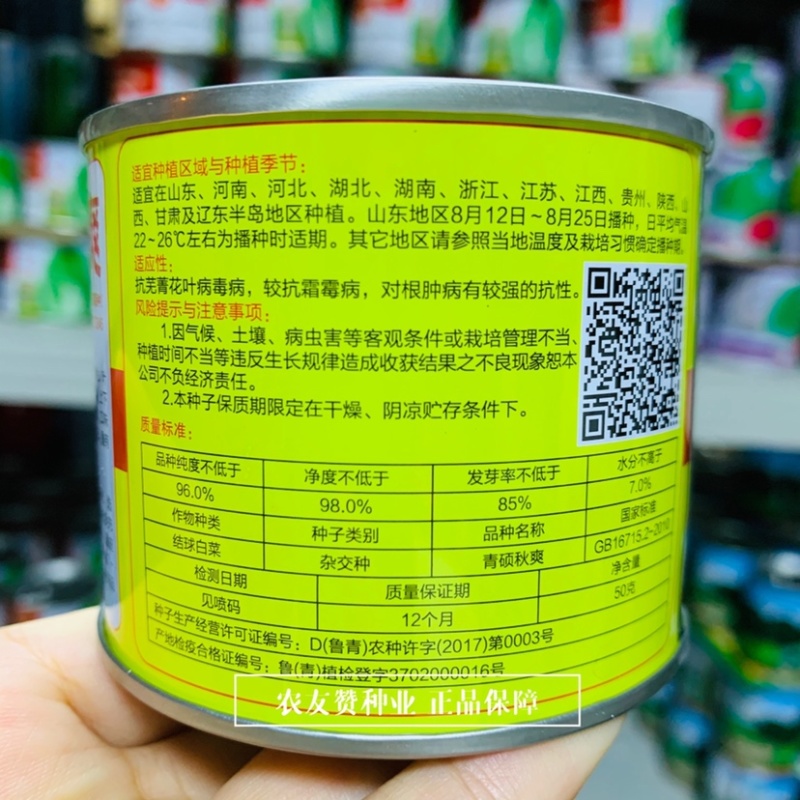 青硕秋爽大白菜种子丰产优良秋白菜，中熟黄心大白菜种子