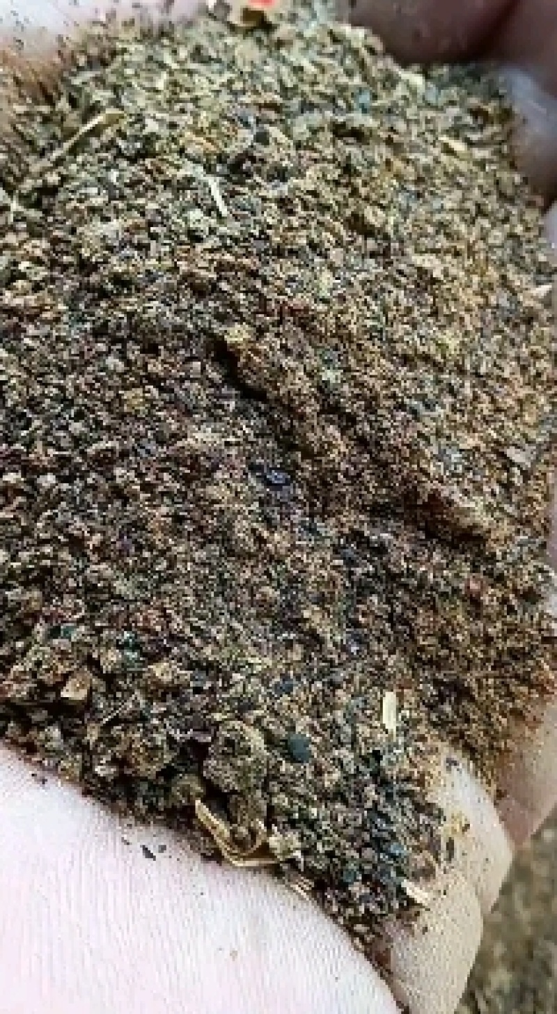 优质菜粕