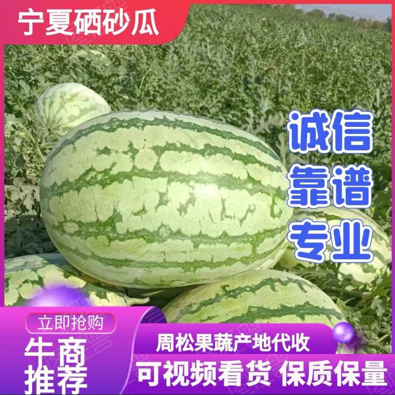 陕甘宁，，金花一号，皮毛漂亮瓜个大产地直销糖度13