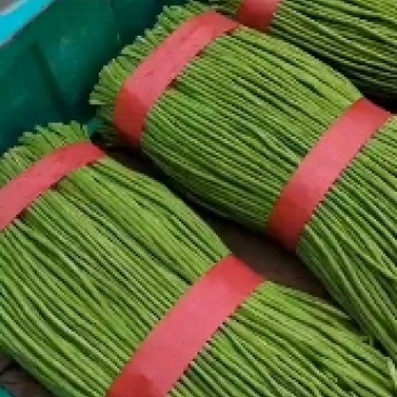 豆角，产地直销，量大从优，价格随行就市，可视频看货，