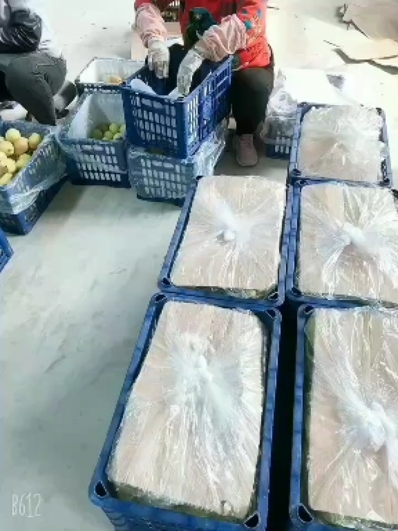 山西运城龙居美玉一抹红晕果库红香酥梨