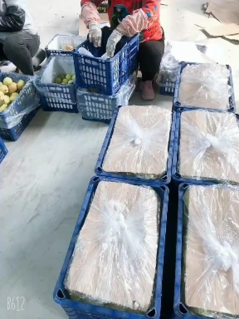 山西运城龙居美玉一抹红晕果库红香酥梨