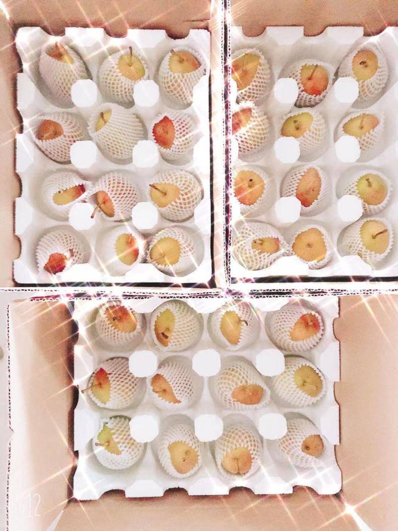 山西运城龙居美玉一抹红晕果库红香酥梨
