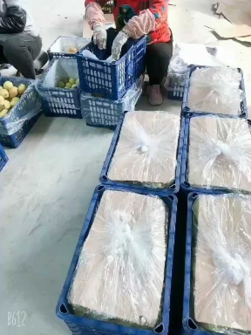 山西运城龙居美玉一抹红晕果库红香酥梨